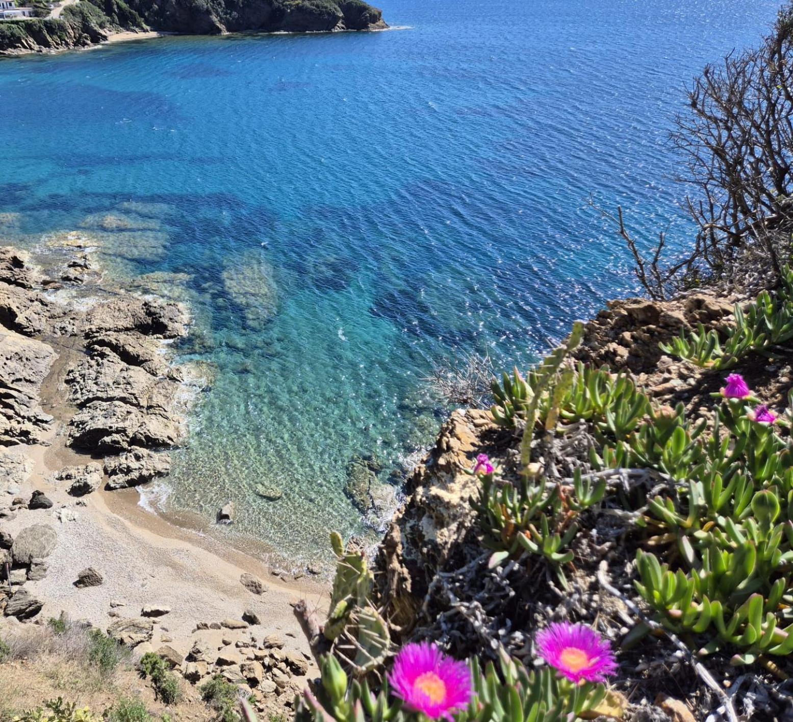 Rosa Dei Venti Daire Capoliveri  Dış mekan fotoğraf